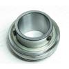 RHP 1050-50G BALL BEARING INSERT, 50MM BORE