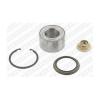 SNR Wheel Bearing Kit R170.32