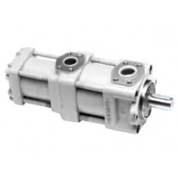 QT3222-10-6.3F QT Series Double Gear Pump #1 image