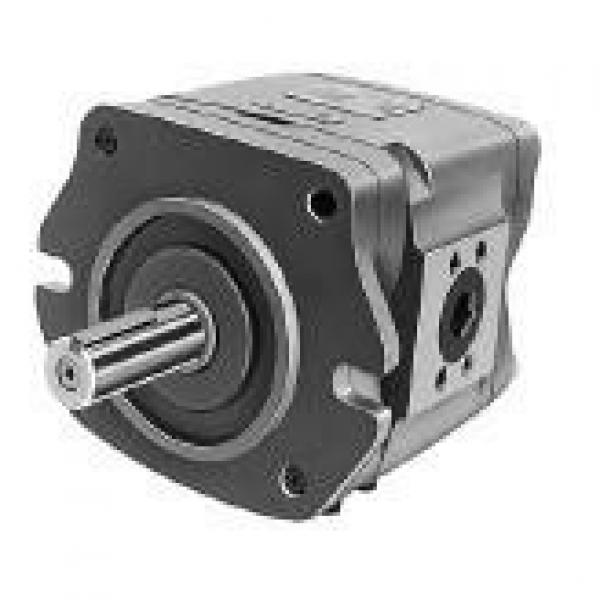 NACHI IPH-6B-80-21 IPH SERIES IP PUMP #1 image