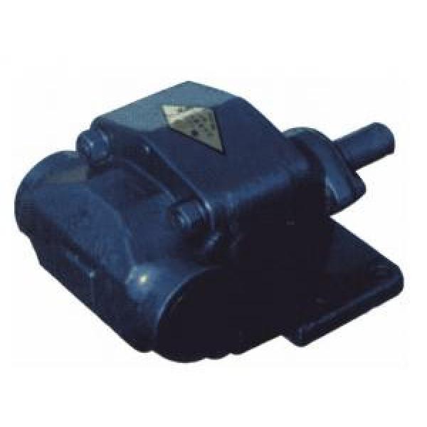 BCB Series Gear Oil Pump #1 image