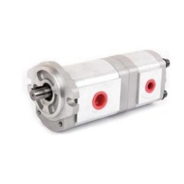 HGP-33A Series Gear Pump #1 image