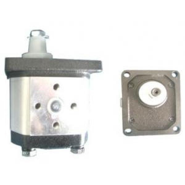 Atos PFG-3 fixed displacement pump #1 image