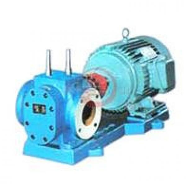 RCB Series Insulation Gear Pumps #1 image