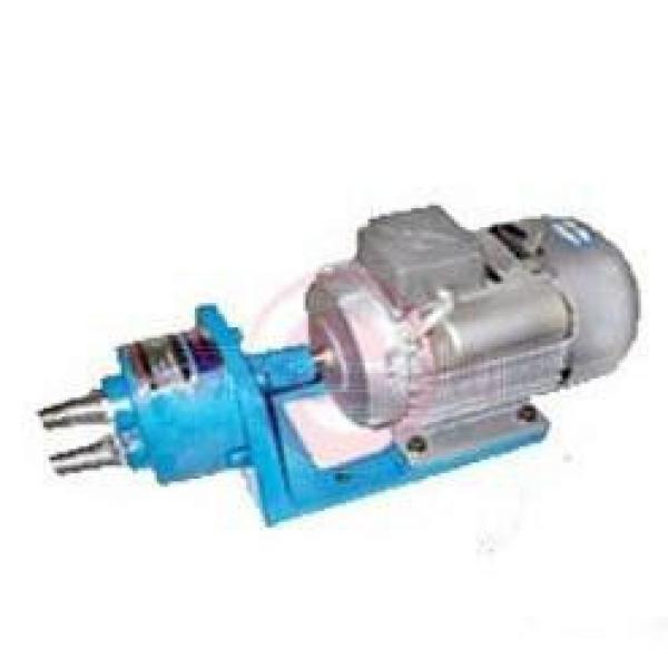 WCB-S Series Gear Pumps #1 image