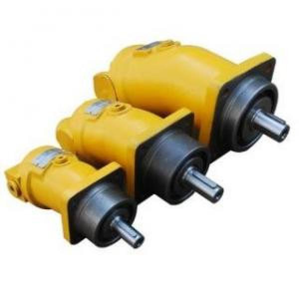 A2F160R4Z3  A2F Series Fixed Displacement Piston Pump supply #1 image