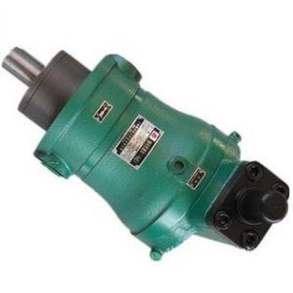 16YCY14-1B  high pressure piston pump supply #1 image