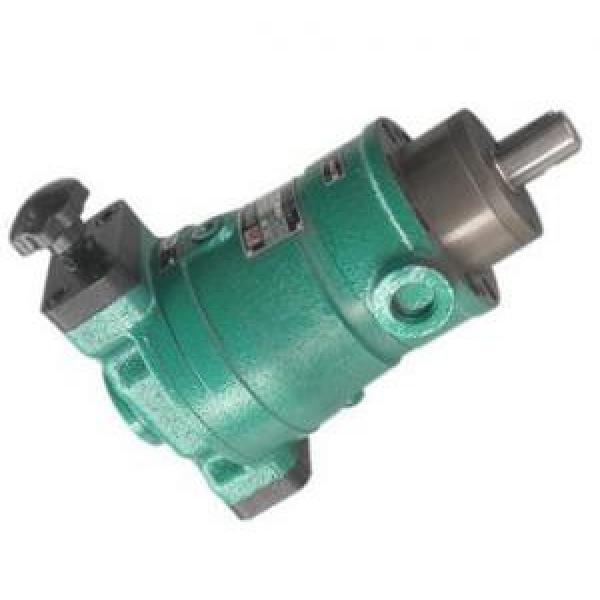 160SCY14-1B  axial plunger pump supply #1 image