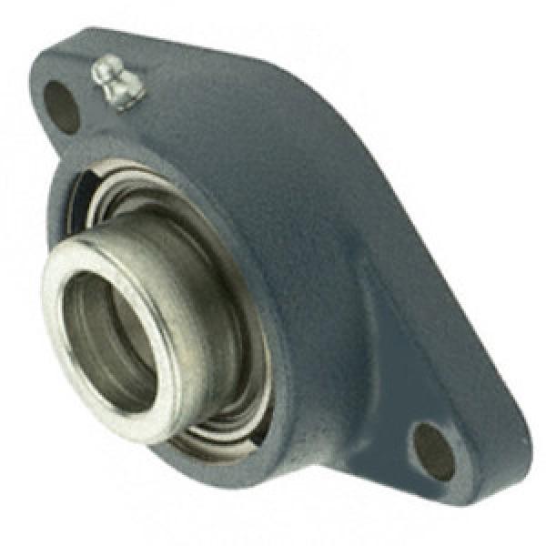 SKF FYTB 25 FM Flange Block Bearings #1 image