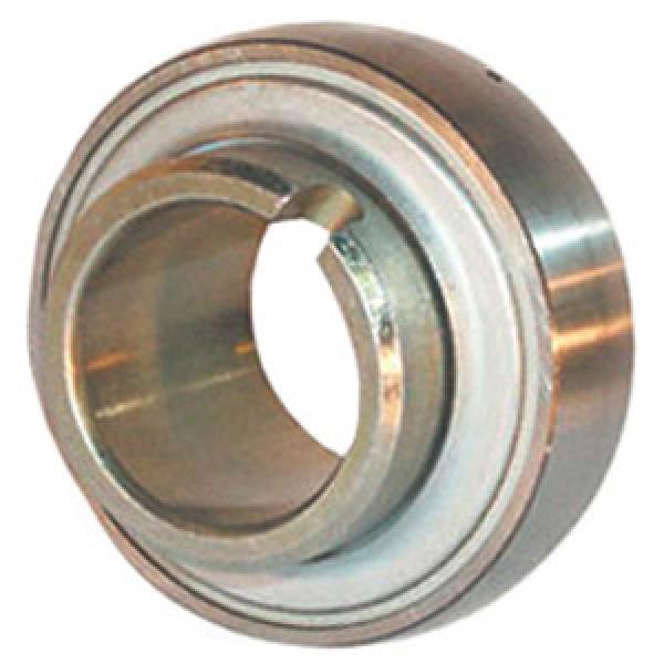 INA GLE25-KRR-B Insert Bearings Spherical OD #1 image