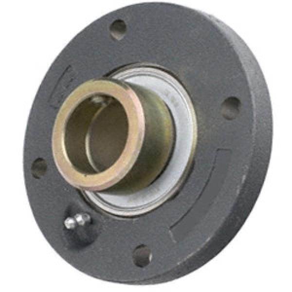 INA PMEY40-N Flange Block Bearings #1 image