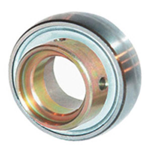 INA RAE15-NPP-B Insert Bearings Spherical OD #1 image