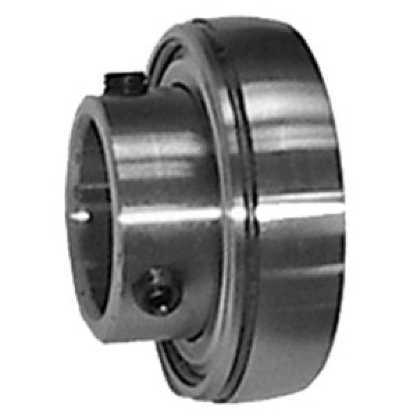 INA GAY17-NPP-B Insert Bearings Spherical OD #1 image