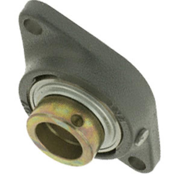 INA RCJT60-N Flange Block Bearings #1 image