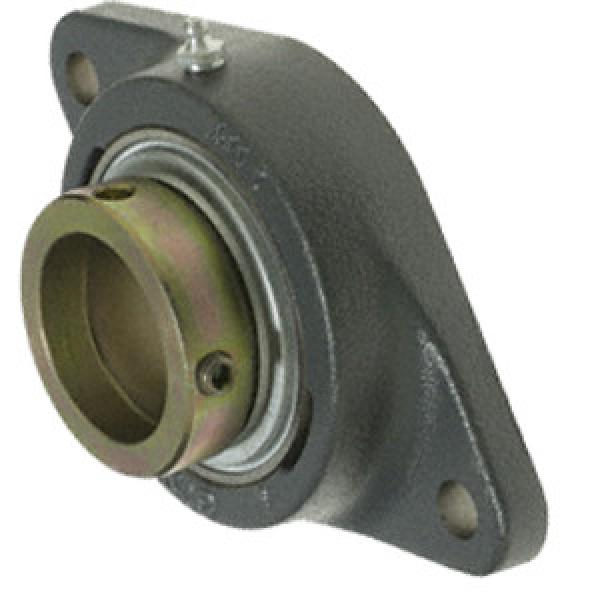 INA RCJTZ20 Flange Block Bearings #1 image