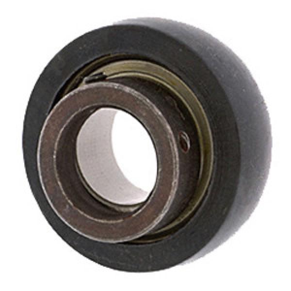 INA RABRB25/62-FA106 Insert Bearings Spherical OD #1 image