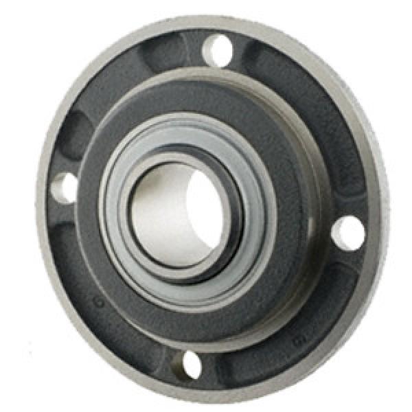 INA RMEY70 Flange Block Bearings #1 image