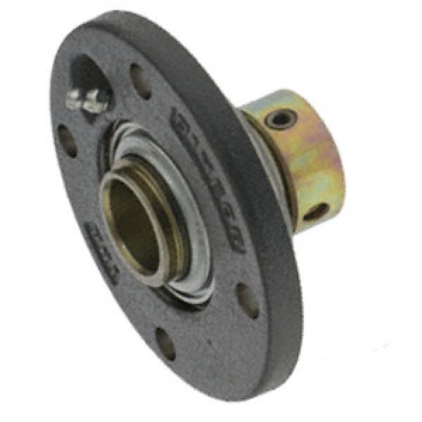 INA RME100 Flange Block Bearings #1 image