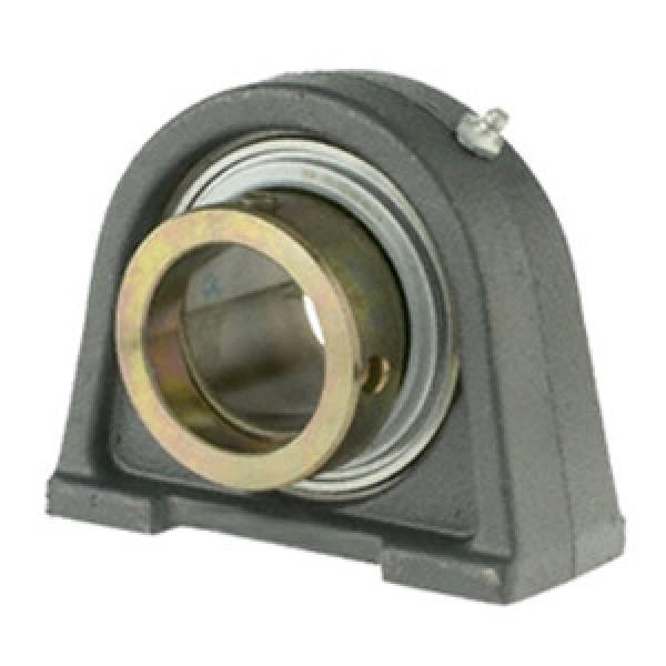 INA RSHE60-N Pillow Block Bearings #1 image