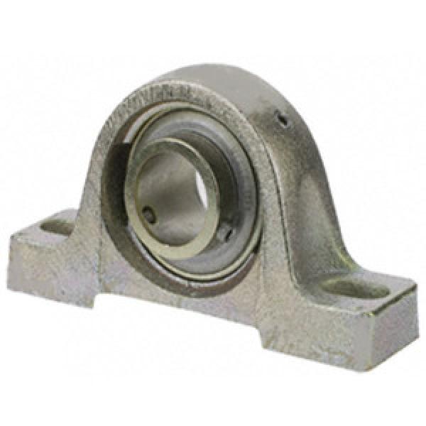 SKF ZPB104ZMR Pillow Block Bearings #1 image