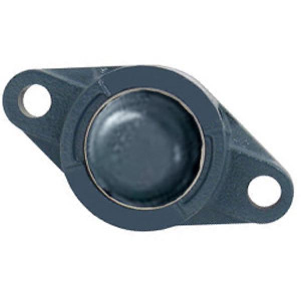 NTN SM-UCFL205D1 Flange Block Bearings #1 image