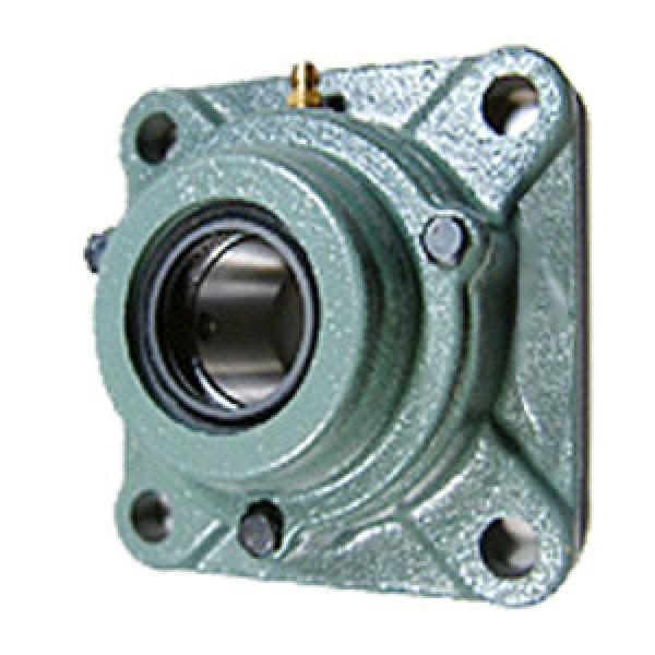 NTN C-UCF213D1 Flange Block Bearings #1 image