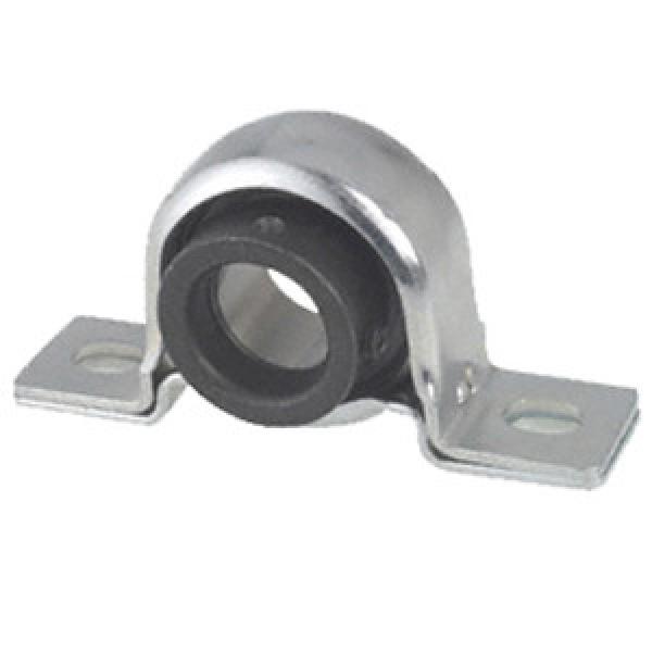 INA PB25 Pillow Block Bearings #1 image