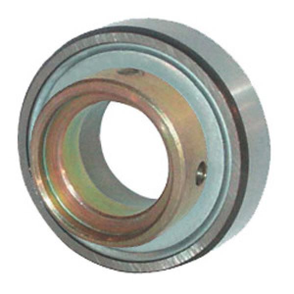 INA PE30 Insert Bearings Spherical OD #1 image