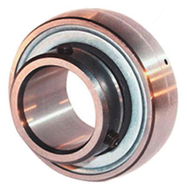 INA AY15-NPP-B Insert Bearings Spherical OD #1 image