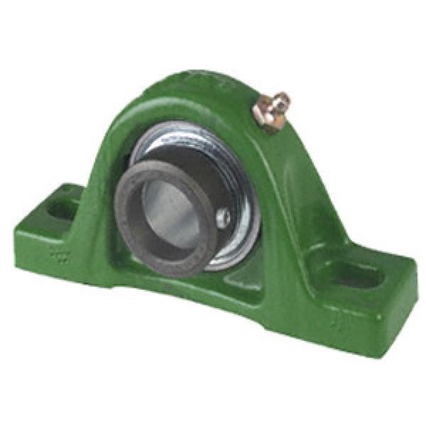 INA TASE20N Pillow Block Bearings #1 image