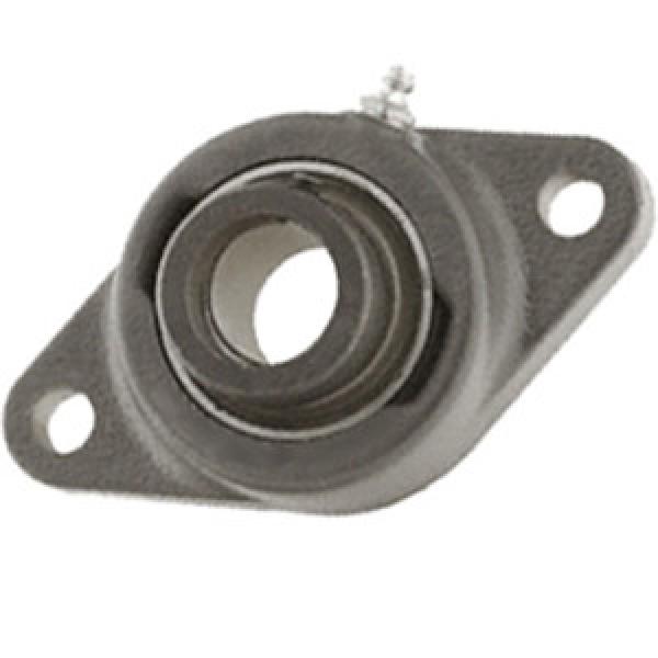 INA TCJT20 Flange Block Bearings #1 image