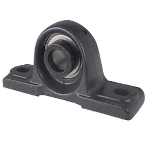 INA RSAO80 Pillow Block Bearings #1 image