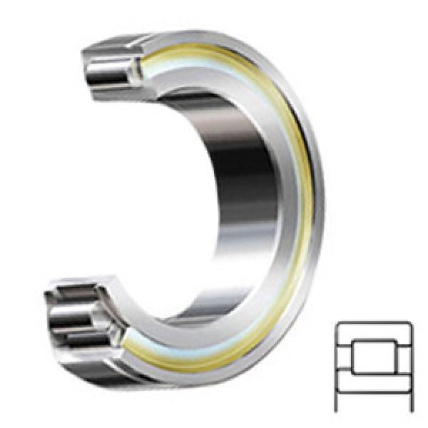 INA SL192312 services Cylindrical Roller Bearings #1 image