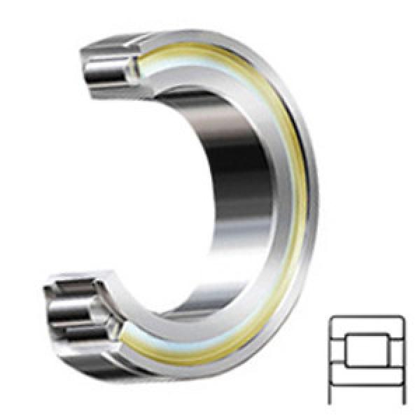 NTN CS5704EM Cylindrical Roller Bearings #1 image