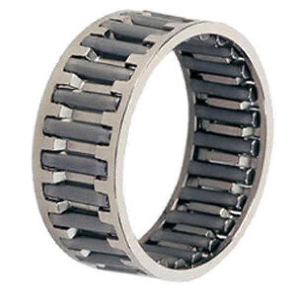 INA C485424A Needle Non Thrust Roller Bearings #1 image