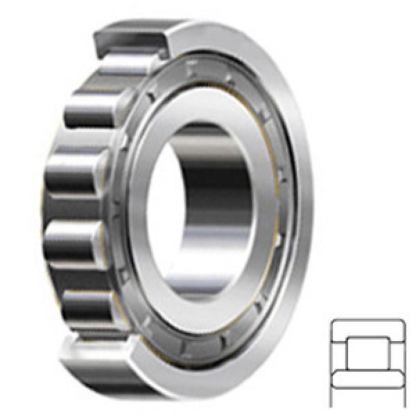 NSK NU204W Cylindrical Roller Bearings #1 image