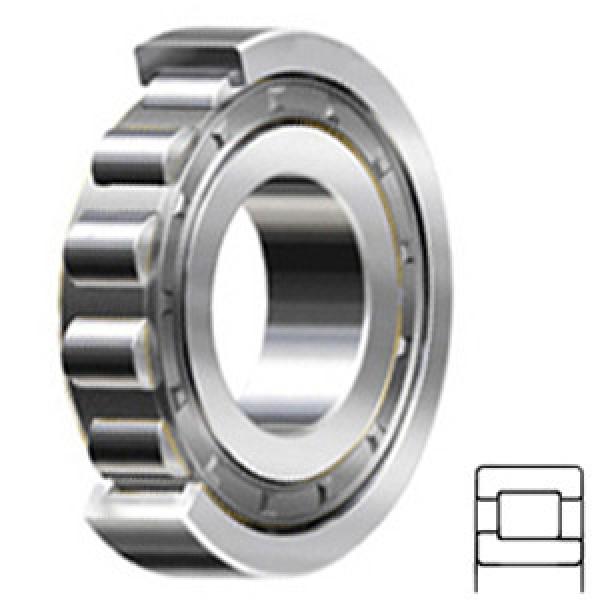 NSK NJ203WC3 Cylindrical Roller Bearings #1 image