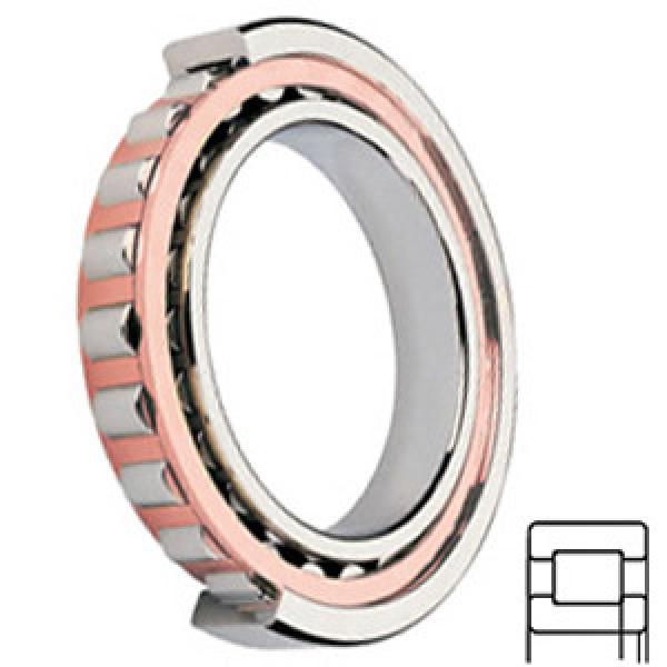 FAG BEARING NUP203-E-TVP2 Cylindrical Roller Bearings #1 image