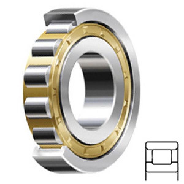 NTN N228G1C3 services Cylindrical Roller Bearings #1 image