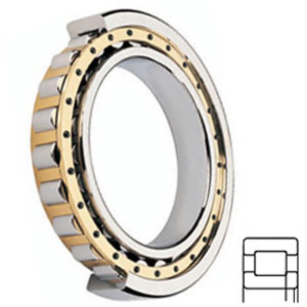 FAG BEARING NUP210-E-M1 services Cylindrical Roller Bearings #1 image