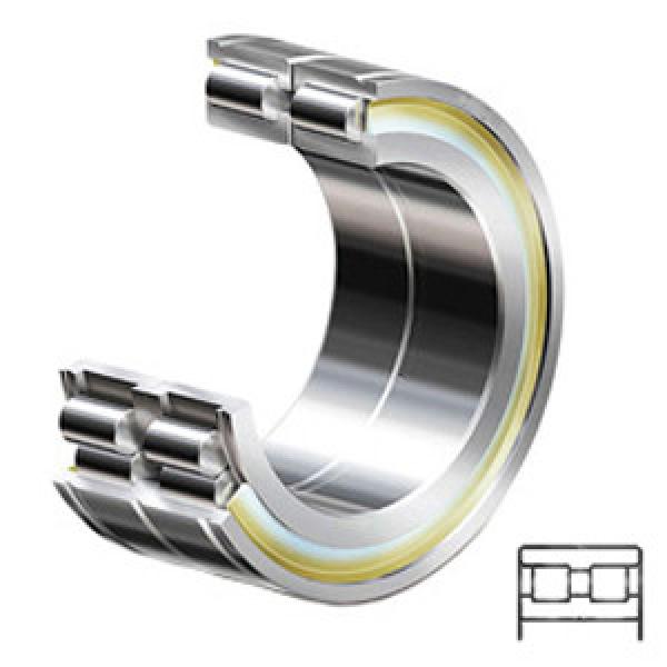 INA SL045008-PP services Cylindrical Roller Bearings #1 image