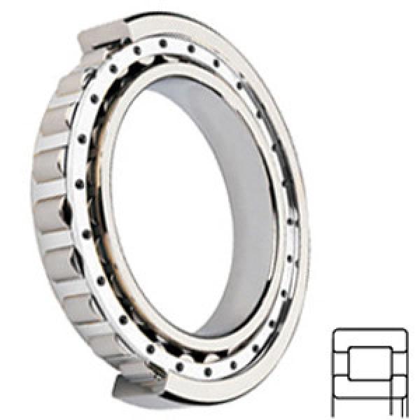 NSK NUP206W Cylindrical Roller Bearings #1 image