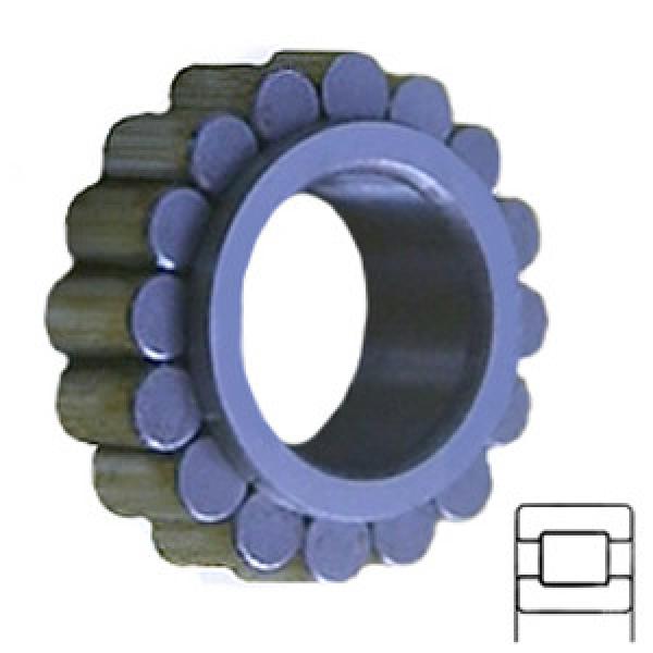 INA RSL182205A Cylindrical Roller Bearings #1 image