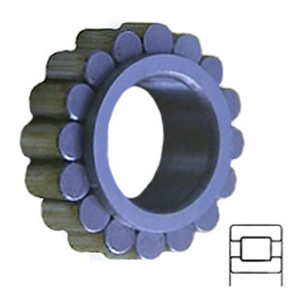 INA RSL182322 Cylindrical Roller Bearings #1 image