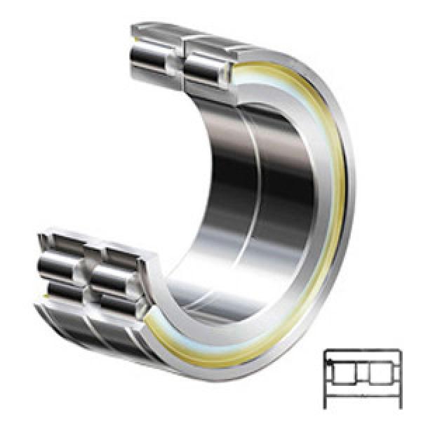 INA SL184944 C3 services Cylindrical Roller Bearings #1 image