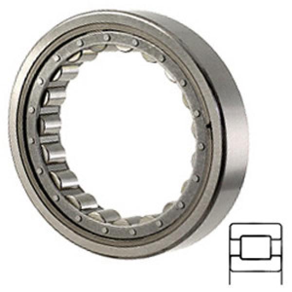 NTN M5211EHL Cylindrical Roller Bearings #1 image