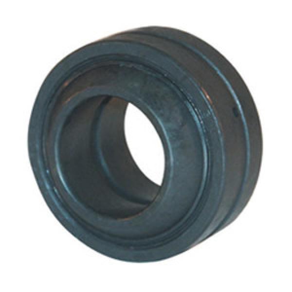 INA GE100-FO-2RS Spherical Plain Bearings - Radial #1 image