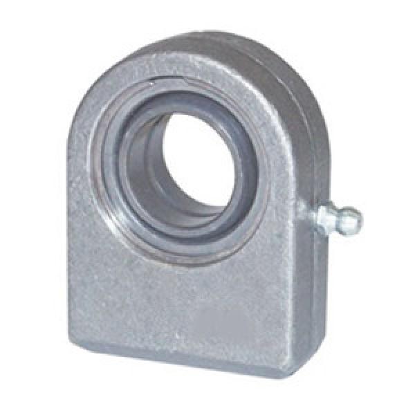 INA GF20-DO Spherical Plain Bearings - Rod Ends #1 image