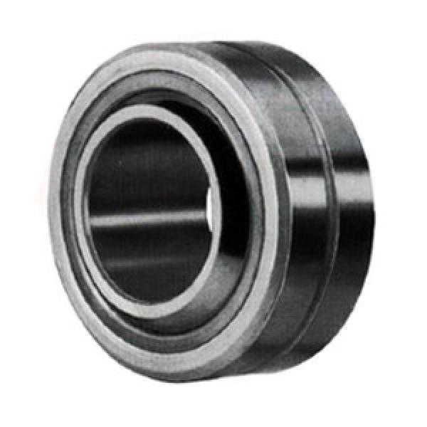 INA GE6PB Spherical Plain Bearings - Radial #1 image