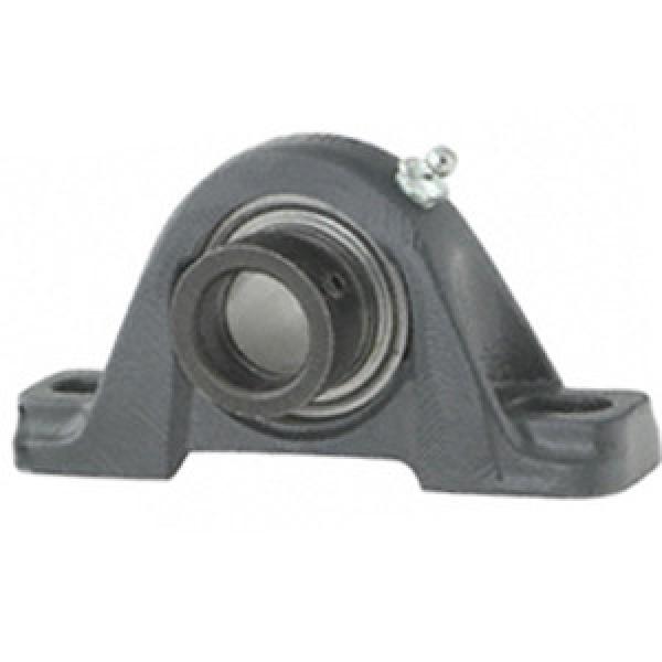 NTN AELP206-103D1 Pillow Block Bearings #1 image